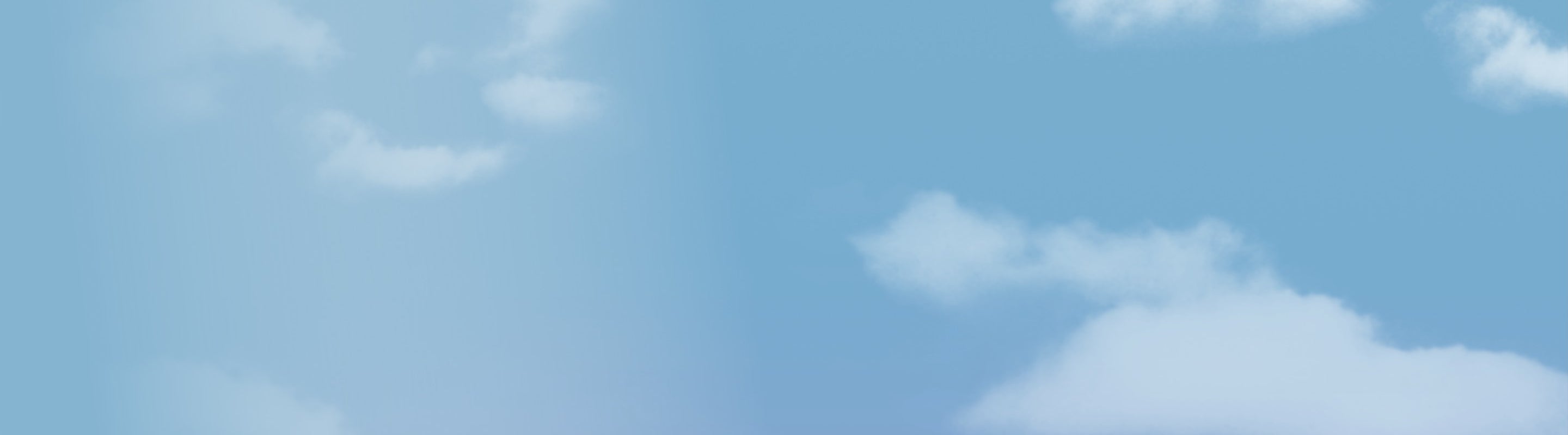 BLACK FRIDAY EXCLUSIVES