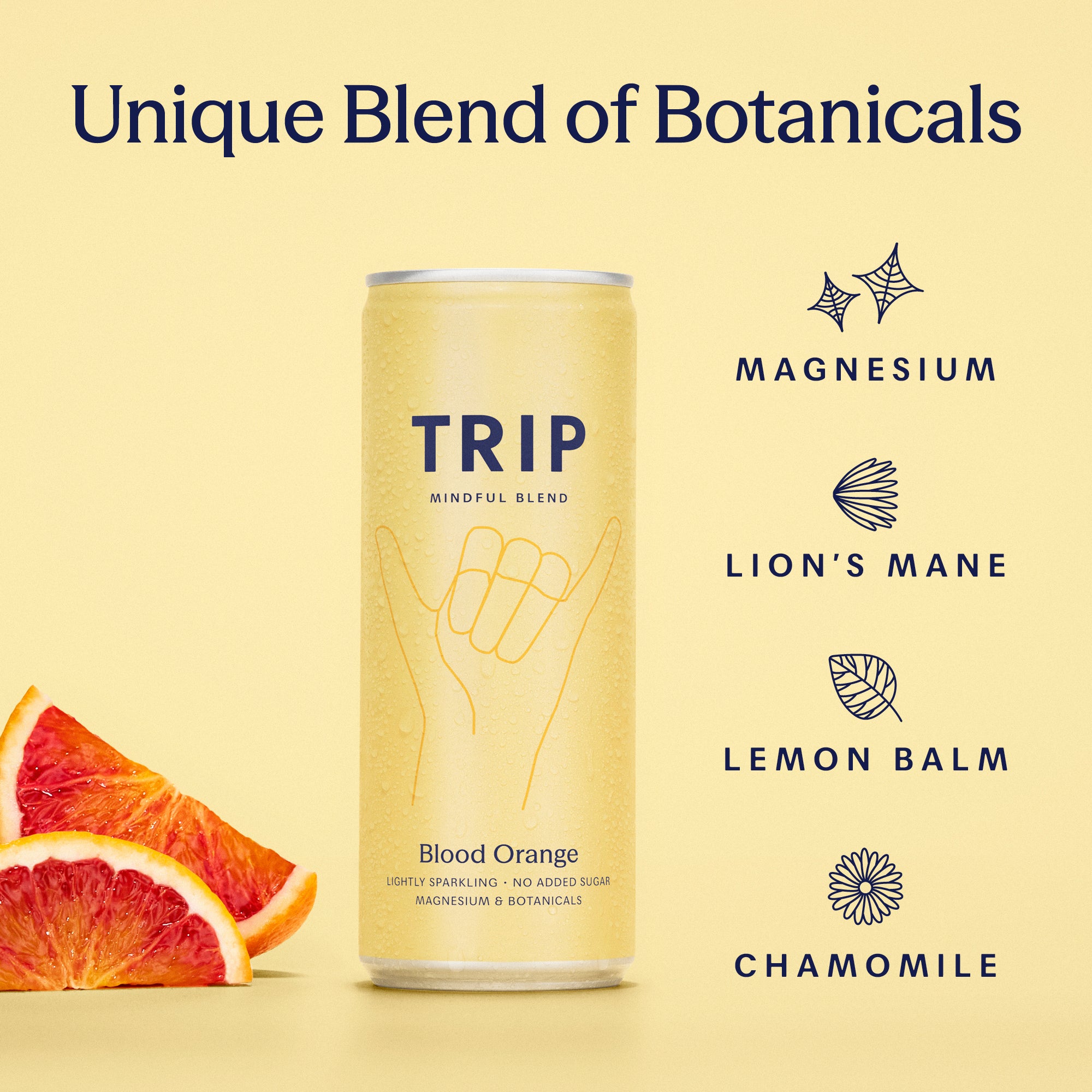 Mindful Blend Variety