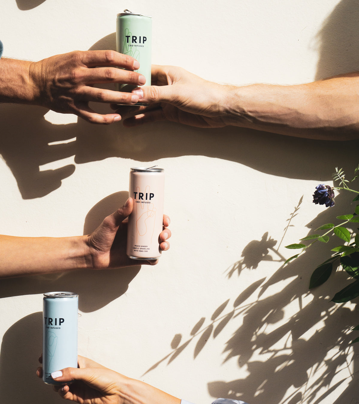 product-featured no-display hands holding low sugar drinks new
