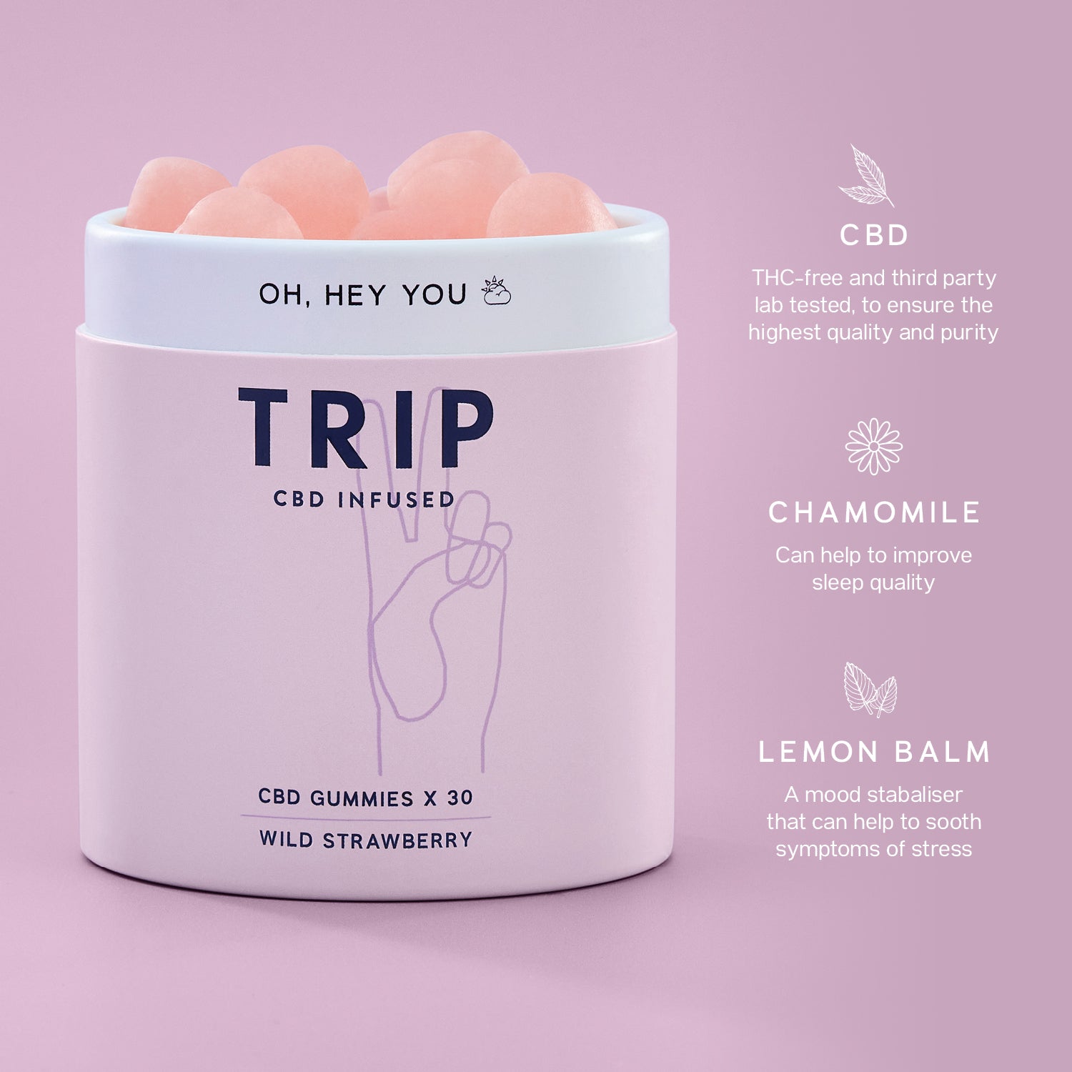 Wild Strawberry CBD Gummies