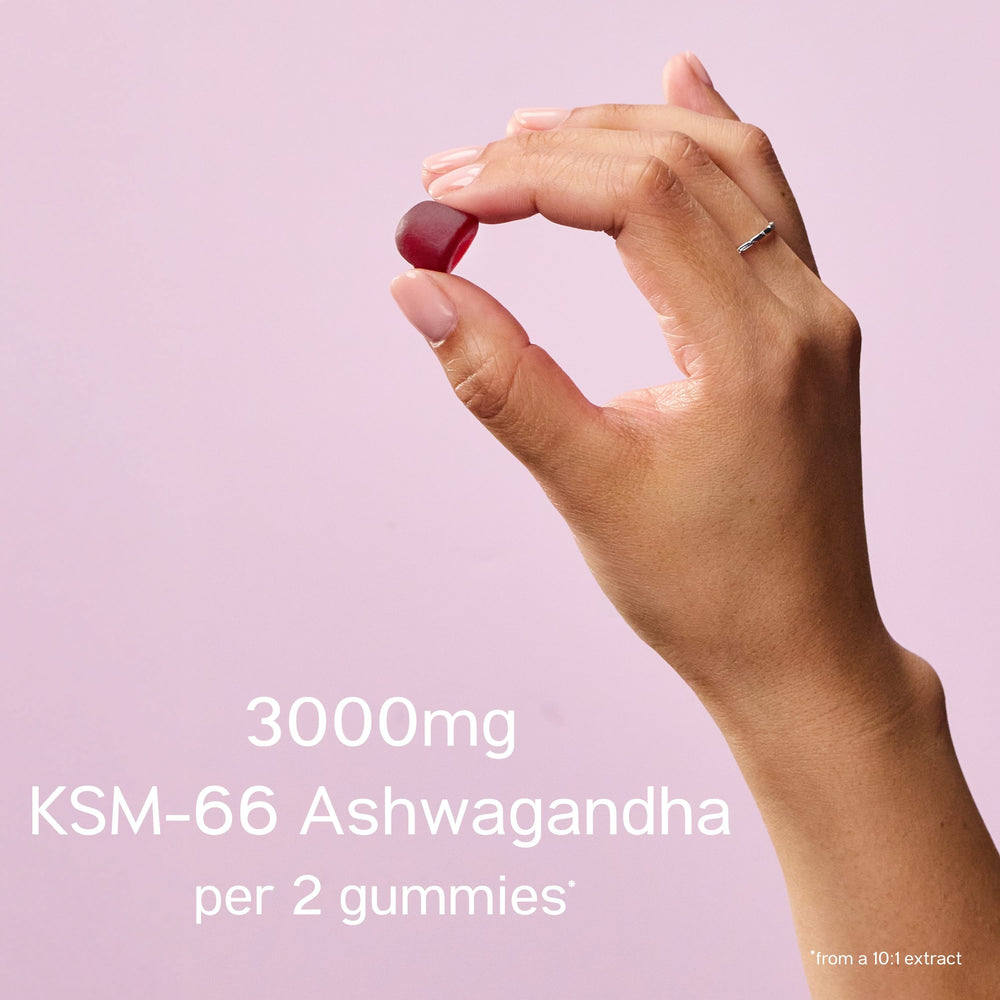 Ashwagandha 375mg Gummies, Cherry - 90 gummies main image 1