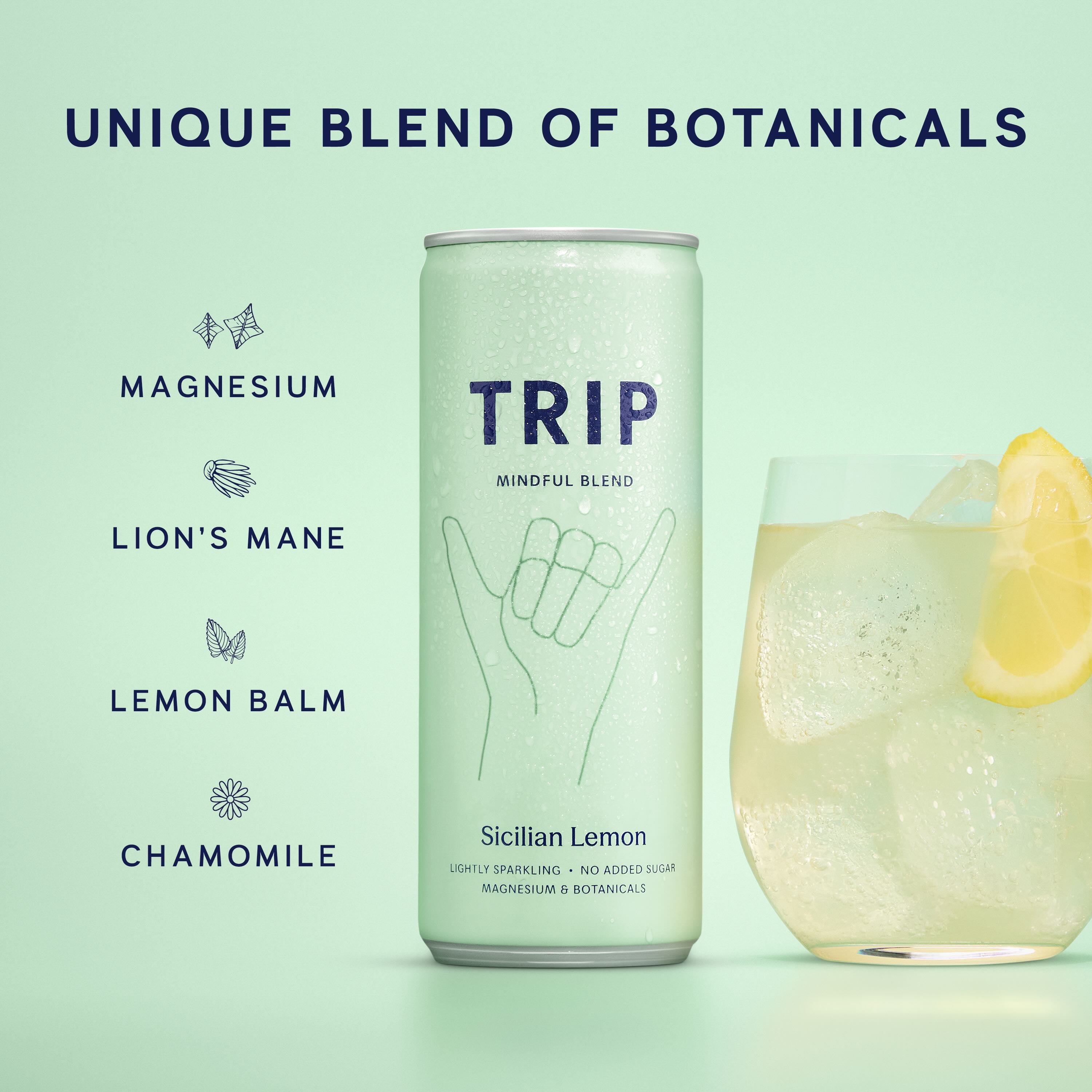 Mindful Blend - Sicilian Lemon Magnesium Drink | TRIP Drinks