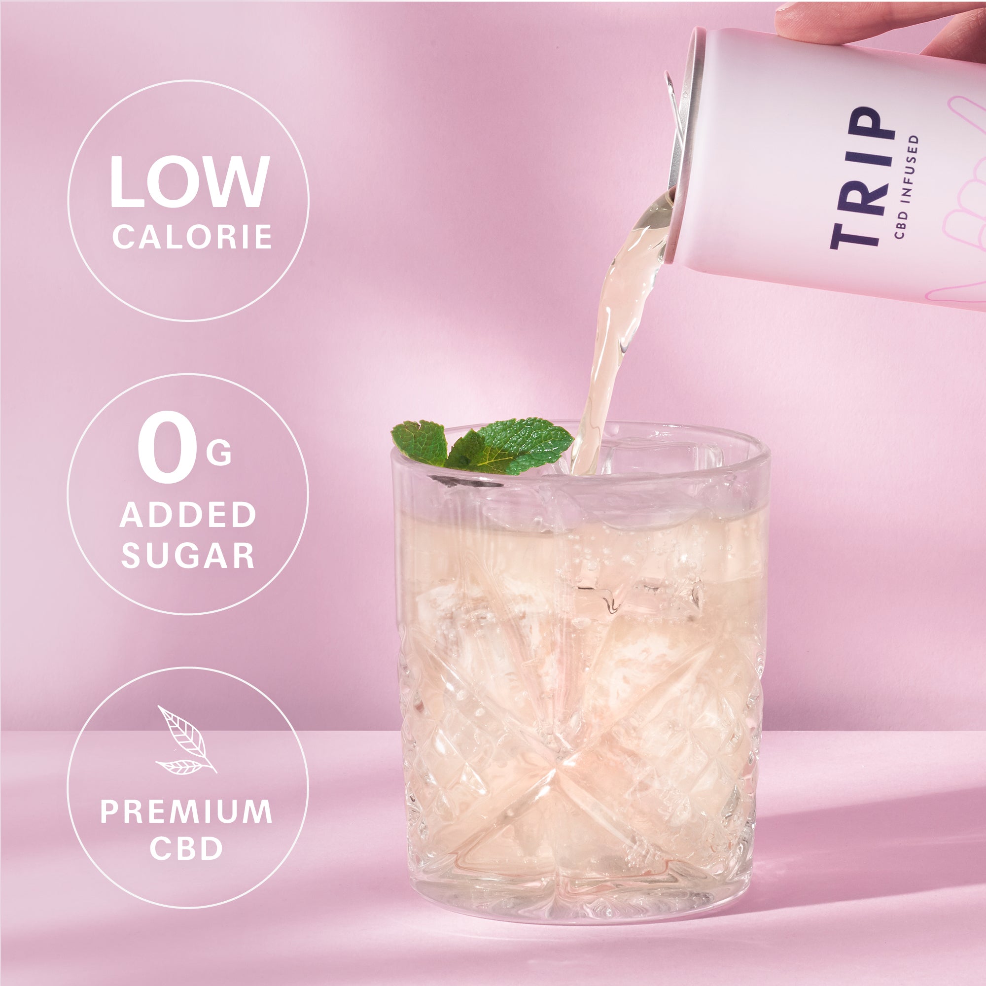 Mixed Pack CBD Drinks