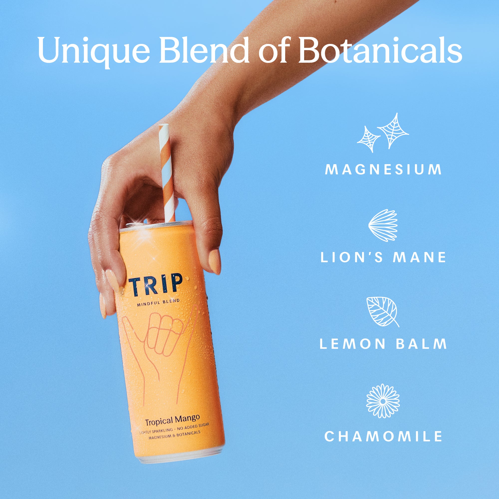 Tropical Mixed Pack