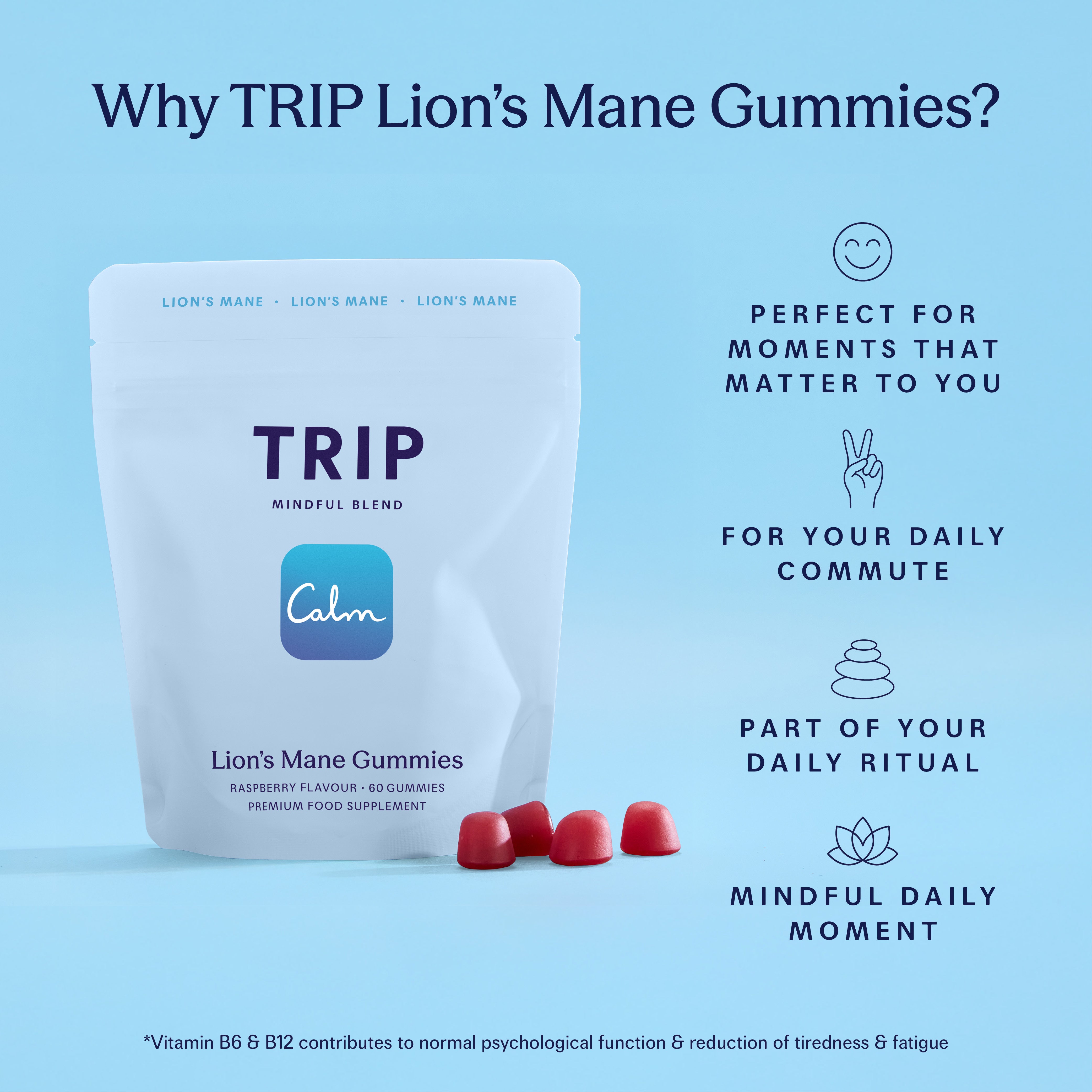 Raspberry Lion’s Mane Gummies