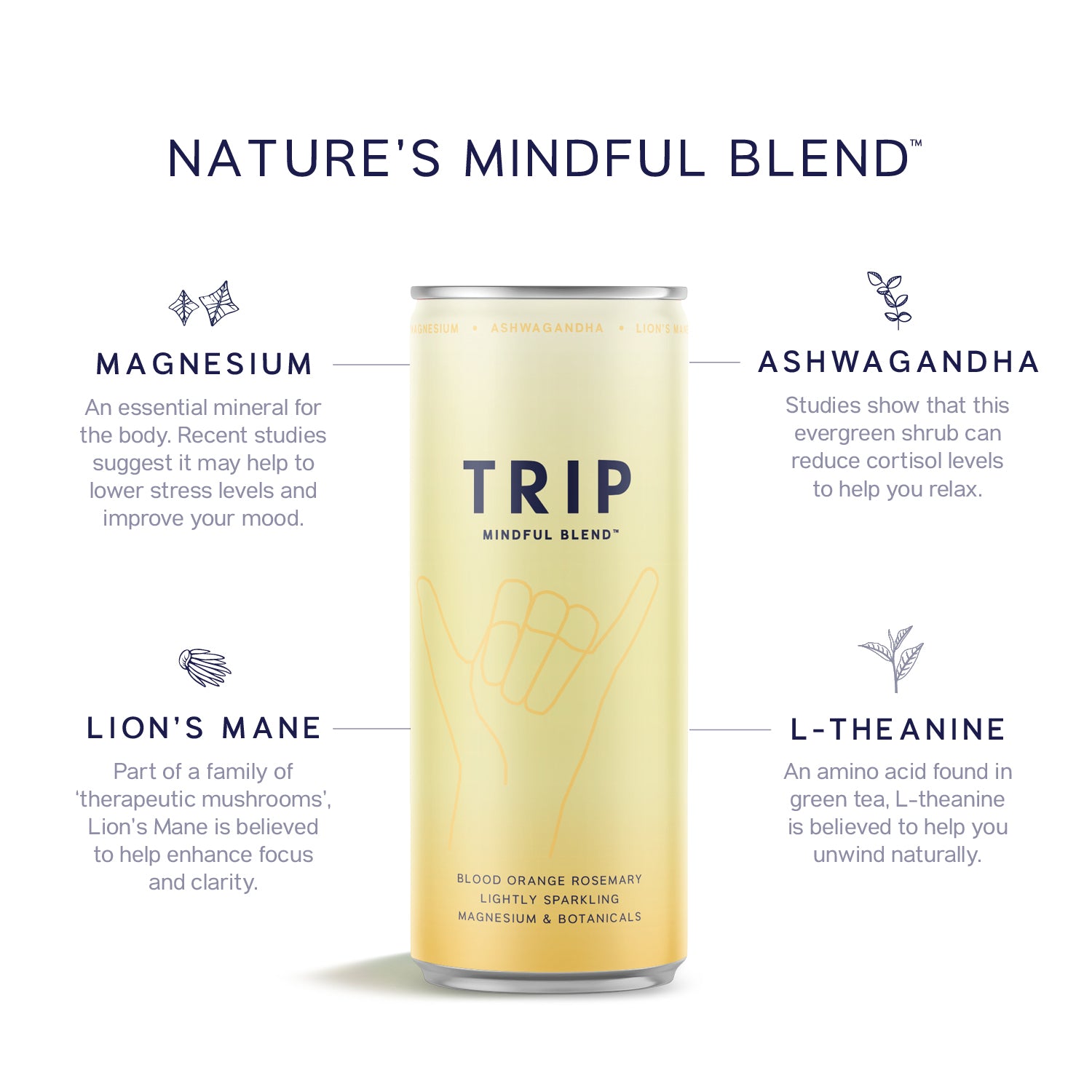 Mixed Pack Mindful Blend