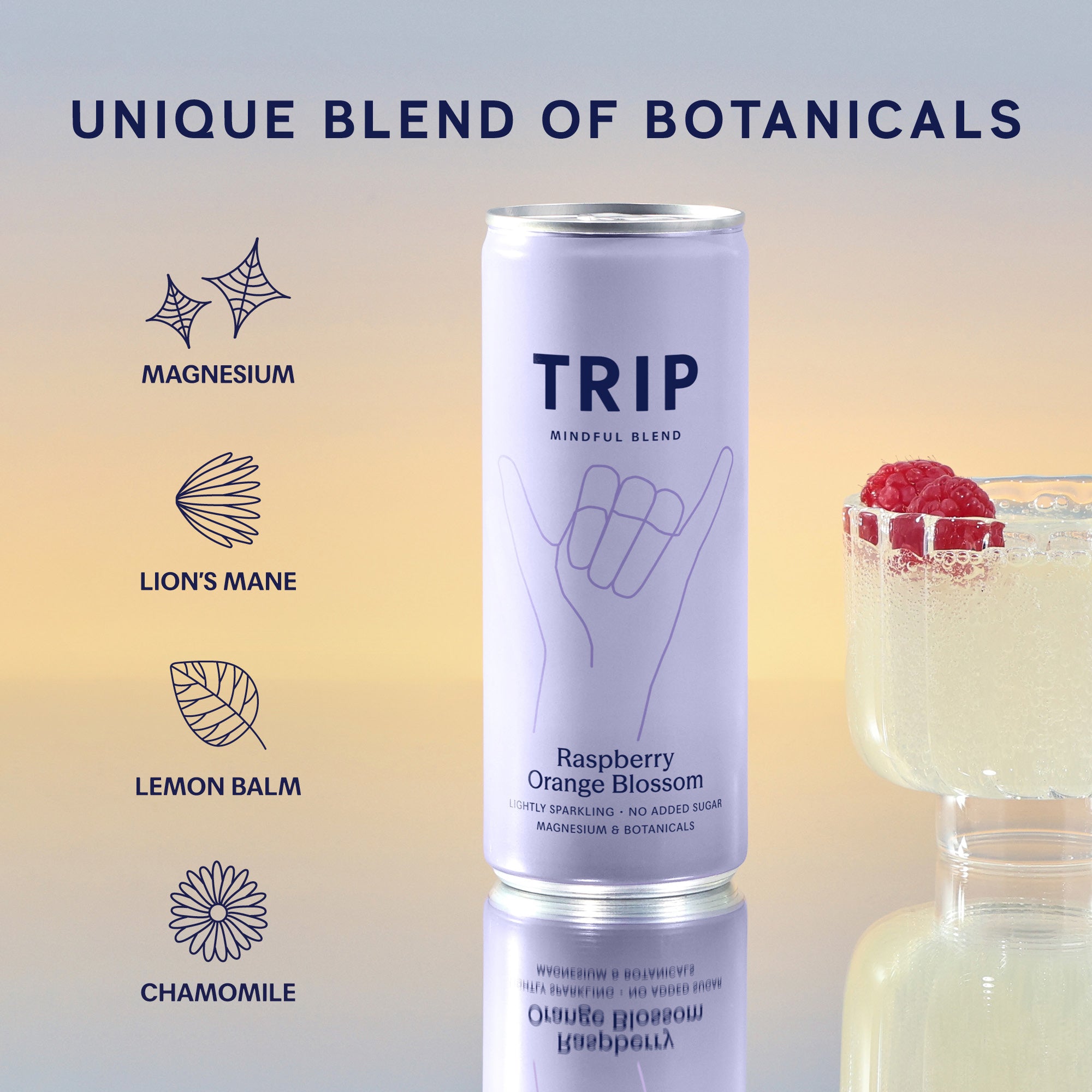 Citrus Berry Mixed Pack